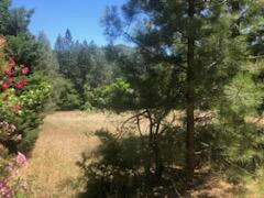.54 ACRES LAKEVIEW DR., LAKEHEAD, CA 96051 - Image 1