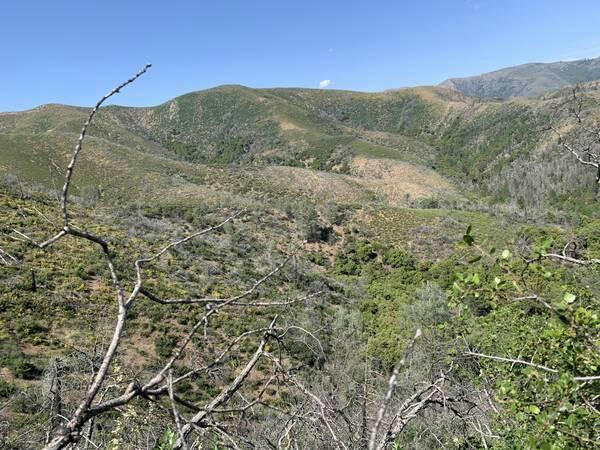 MERRY MOUNTAIN ROAD, FRENCH GULCH, CA 96033, photo 1 of 8