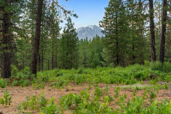 LOT A TIMBER COUNTRY RANCH RD, MCCLOUD, CA 96057 - Image 1