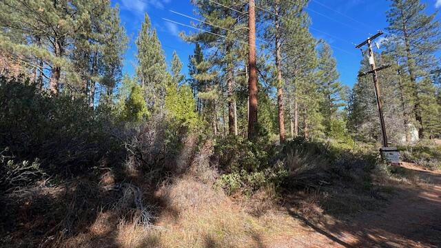 CIRCLE DR, OLD STATION, CA 96071, photo 1 of 5