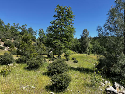 16757 THE GULCH RD, ROUND MOUNTAIN, CA 96084, photo 4 of 18
