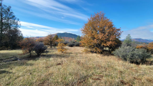 41 ACRES BACK WOODS DR, ROUND MOUNTAIN, CA 96084, photo 5 of 15