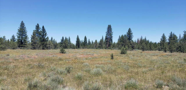 COUNTY RD. 93, LOOKOUT, CA 96054 - Image 1