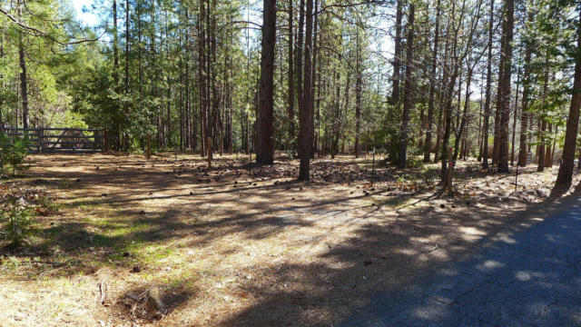 5+- ACRES FERN RD., WHITMORE, CA 96069 - Image 1