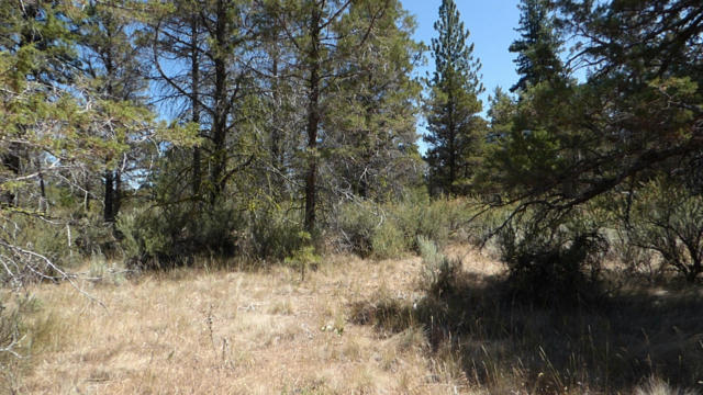 WIDOW VALLEY RD, LOOKOUT, CA 96054, photo 2 of 5