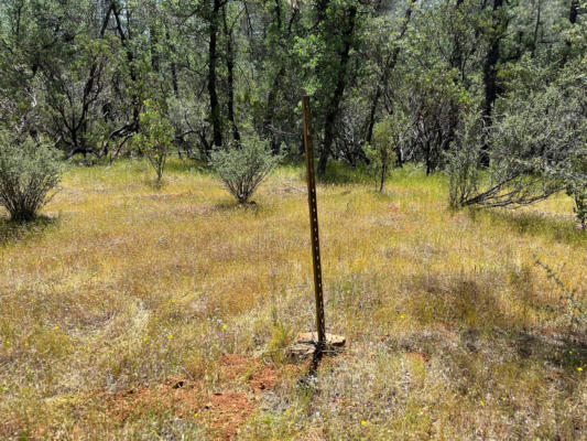 JAVELINA, BELLA VISTA, CA 96008, photo 3 of 8