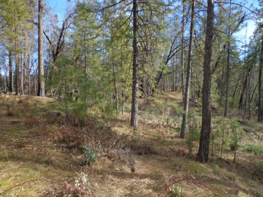 5 LOTS, OFF STATTON RD, LAKE HEAD, CA 96051, photo 4 of 33