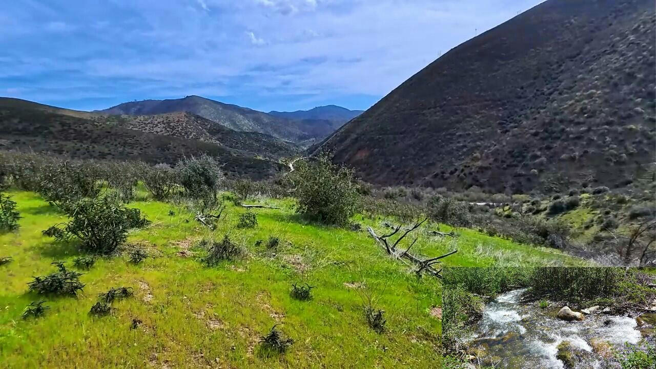 635 ACRES FRENCH GULCH RD, FRENCH GULCH, CA 96033, photo 1 of 41