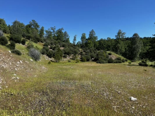 16757 THE GULCH RD, ROUND MOUNTAIN, CA 96084 - Image 1