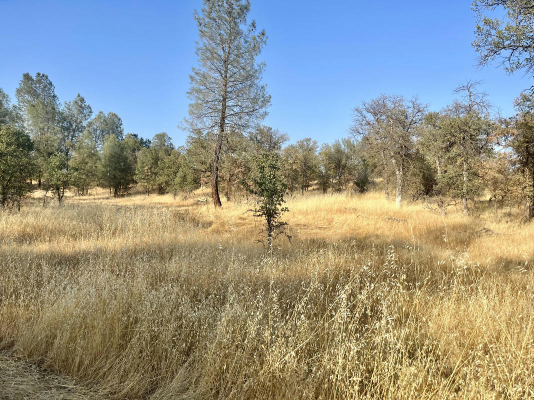 LOT 10 NEAL LN., REDDING, CA 96003, photo 1 of 4