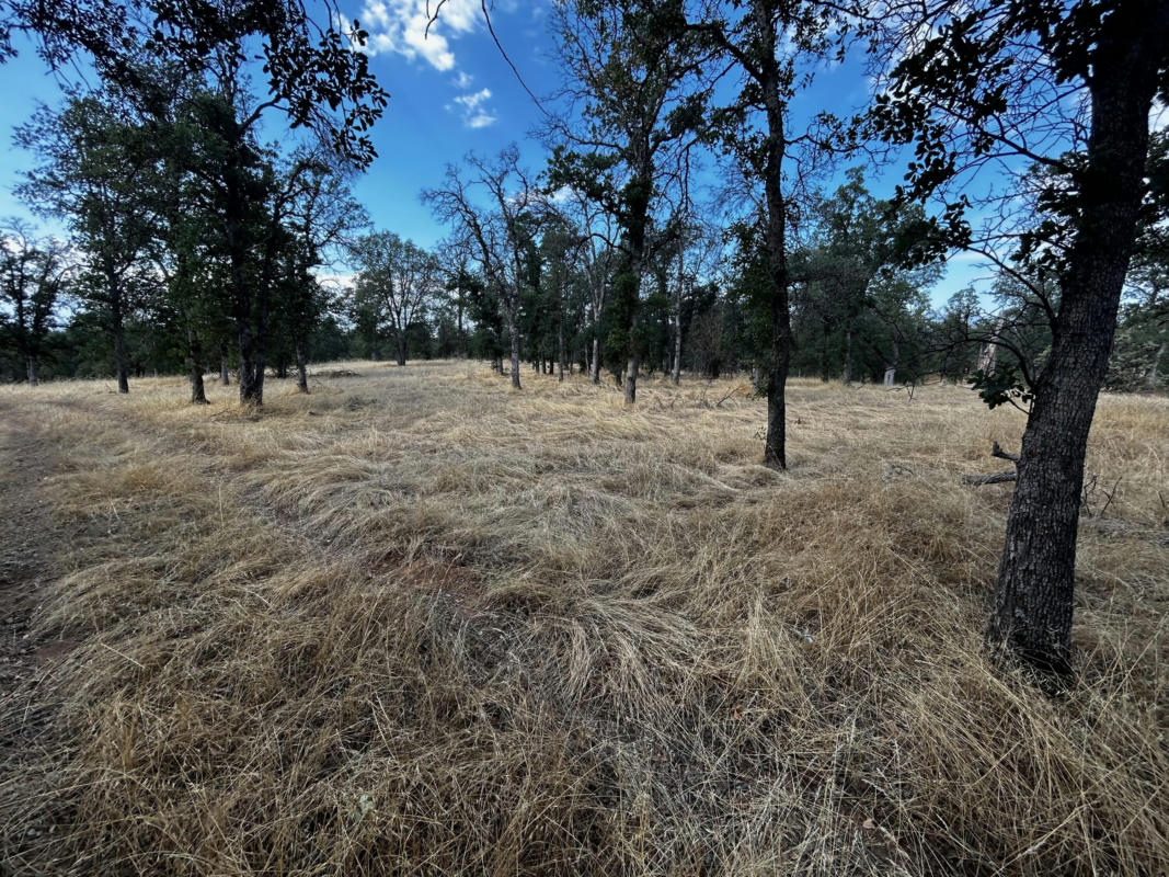 10+ ACRES SUNPOINT RD., COTTONWOOD, CA 96022, photo 1 of 8