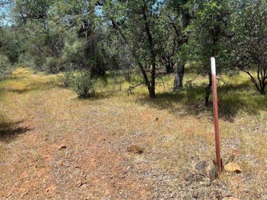 JAVELINA, BELLA VISTA, CA 96008, photo 2 of 8