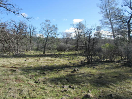 5 ACRES GRINDLEY RNCH RD, WHITMORE, CA 96096 - Image 1